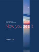 Now You See It: An Introduction to Visual Data Sensemaking 1938377125 Book Cover