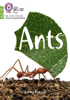 Ants: Phase 4 Set 2 (Big Cat Phonics for Little Wandle Letter) 000855188X Book Cover