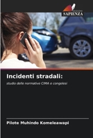 Incidenti stradali 6209727638 Book Cover