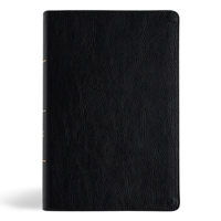 CSB Everyday Study Bible, Black Genuine Leather, Black Letter, Study Notes and Commentary, Illustrations, Articles, Charts, Easy-to-Carry, Easy-to-Read Bible Serif Type 1430094052 Book Cover
