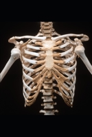 Notes Pratiques Sur La M�decine Deu Et Gynecologie Generale: (Deuxi�me partie) 1088519717 Book Cover