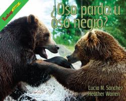 Oso Pardo u Oso Negro? / Black Bear or Brown Bear? (Animales Depredadores (Predator Animals)) 1615419888 Book Cover