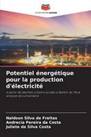 Potentiel énergétique pour la production d'électricité 6202360518 Book Cover