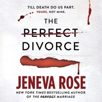 The Perfect Divorce null Book Cover