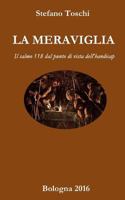La Meraviglia: Il salmo 118 dal punto di vista dell'handicap 1539531961 Book Cover