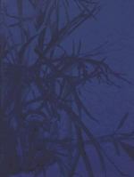 Artificial Light: New Light-Based Sculpture and Installation Art 0935519297 Book Cover