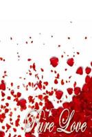 Pure Love 0615775446 Book Cover