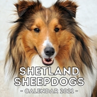 Shetland Sheepdogs: 2021 Calendar, Cute Gift Idea For Sheltie Lovers Or Owners Men And Women null Book Cover