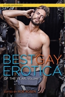 Best Gay Erotica of the Year, Volume 3 1627782206 Book Cover