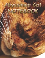 Abyssinian Cat NOTEBOOK: Notebooks and Journals 110 pages (8.5x11) 1651155372 Book Cover