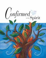 Confirmed in the Spirit 0829421246 Book Cover