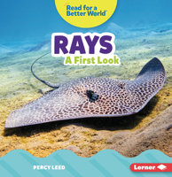 Rays: A First Look 172846417X Book Cover