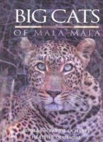 Big Cats of Mala Mala 0624038939 Book Cover