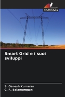 Smart Grid e i suoi sviluppi 6205613972 Book Cover