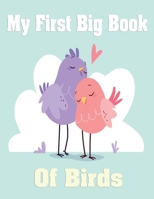 My First Big Book of Birds: Children's Activity & coloring Books For Boy & girl,Dot & Dot,Match the Halves and Crossword Gift For kids toddlers & preschoolers Who Loves bird B087R9NHLT Book Cover
