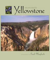 Yellowstone Wild and Beautiful 1560371463 Book Cover