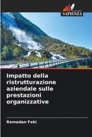 Impatto della ristrutturazione aziendale sulle prestazioni organizzative (Italian Edition) 6209909701 Book Cover