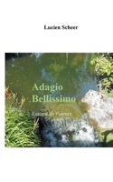 Adagio Bellissimo 2322269778 Book Cover