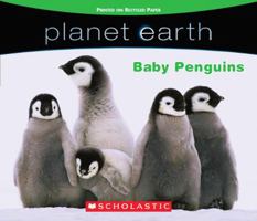 Baby Penguins (Planet Earth) 0545080827 Book Cover