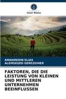 FAKTOREN, DIE DIE LEISTUNG VON KLEINEN UND MITTLEREN UNTERNEHMEN BEEINFLUSSEN 6203689416 Book Cover