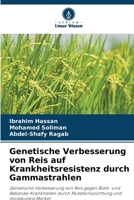 Genetische Verbesserung von Reis auf Krankheitsresistenz durch Gammastrahlen (German Edition) 6208081793 Book Cover