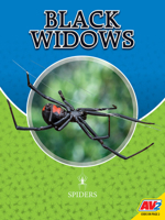 Black Widows 1791122922 Book Cover