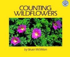 Counting Wildflowers 0688140270 Book Cover