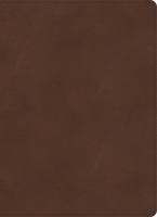 KJV Single-Column Wide-Margin Bible, Brown LeatherTouch 1087767628 Book Cover