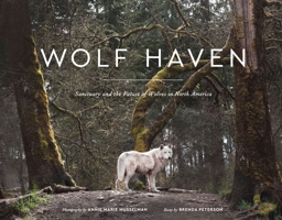 Wolf Haven: Sanctuary and the Future of Wolves in North America 1632170515 Book Cover