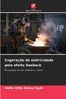 Cogeração de eletricidade pelo efeito Seebeck: Recuperação de calor residual ou o futuro (Portuguese Edition) 3330751886 Book Cover