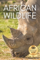 Picture Book of African Wildlife: A Gentle Collection of Real Wildlife Photography for Seniors Living with Memory Loss, Alzheimer’s, or Dementia B0FWK7FJPB Book Cover
