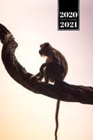 Monkey Ape Week Planner Weekly Organizer Calendar 2020 / 2021 - Sitting on Branch: Cute Wildlife Animal Pet Bullet Journal Notebook Diary in 6" x 9" Inch Pocket Size 167564019X Book Cover