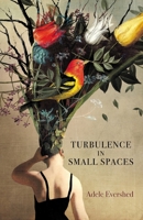 Turbulence in Small Spaces B0CCXGKST8 Book Cover