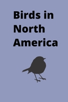 Birds in North America: Most common birds B0BQC146CJ Book Cover