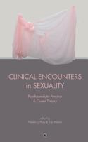 Clinical Encounters in Sexuality: Psychoanalytic Practice and Queer Theory 0998531855 Book Cover