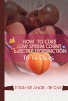 HOW TO CURE LOW SPERM COUNT AND ERECTILE DYSFUNCTION IN 14DAYS B0CGTWFFDV Book Cover