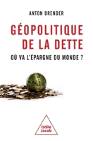 Géopolitique de la dette / The Geopolitics of Debt: Where are the world's savings going? (French Edition) 2415017116 Book Cover