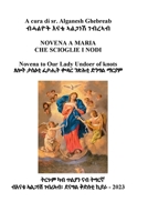 La novena a Maria che scioglie i nodi B0CBD6TN33 Book Cover
