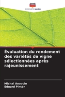 Évaluation du rendement des variétés de vigne sélectionnées après rajeunissement (French Edition) 6207782739 Book Cover