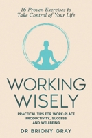 Working Wisely: Practical Tips for Work-Place Productivity, Success and Wellbeing B0F696QCF1 Book Cover