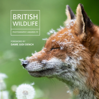 British Wildlife: Photography Awards 11 180258417X Book Cover