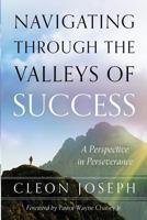 Navigating Through The Valleys Of Success: A Perspective In Perseverance 194985602X Book Cover