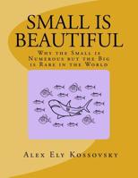 Small is Beautiful: Why the Small is Numerous but the Big is Rare in the World 069291241X Book Cover
