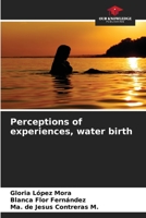 Perceptions of experiences, water birth 6206423298 Book Cover