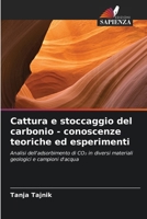 Cattura e stoccaggio del carbonio - conoscenze teoriche ed esperimenti (Italian Edition) 6209985823 Book Cover