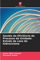 Gestão da Eficiência do Processo da Unidade: Estudo de caso do hidrociclone (Portuguese Edition) 620820173X Book Cover