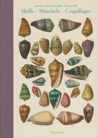 Dezallier D'Argenville: Conchology/Shells 3836511118 Book Cover