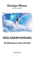 Seelenerfahrung: Erzählung aus dem Jenseits 369572790X Book Cover