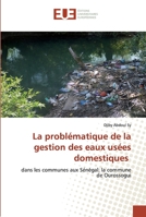 La problématique de la gestion des eaux usées domestiques: dans les communes aux Sénégal: la commune de Ourossogui 6202534788 Book Cover