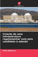 Criação de uma infraestrutura regulamentar num país candidato à adesão (Portuguese Edition) 6207618696 Book Cover